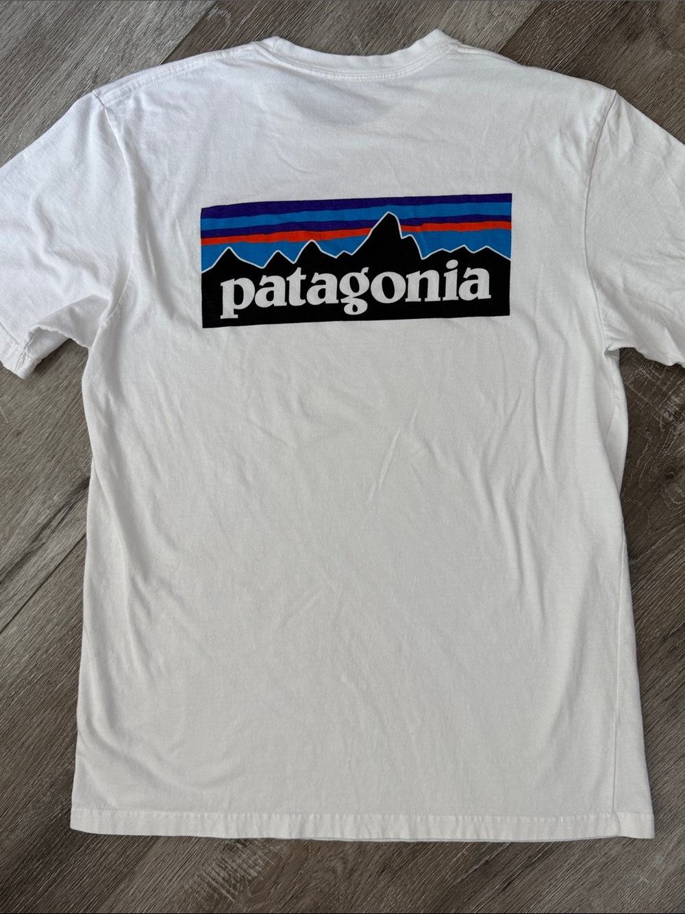 Patagonia White Regular Fit Short Sleeve Logo Tee